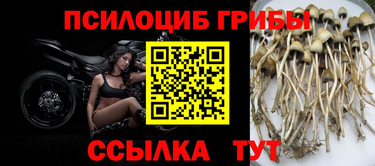 Галлюциногенные грибы мицелий Магнитогорск