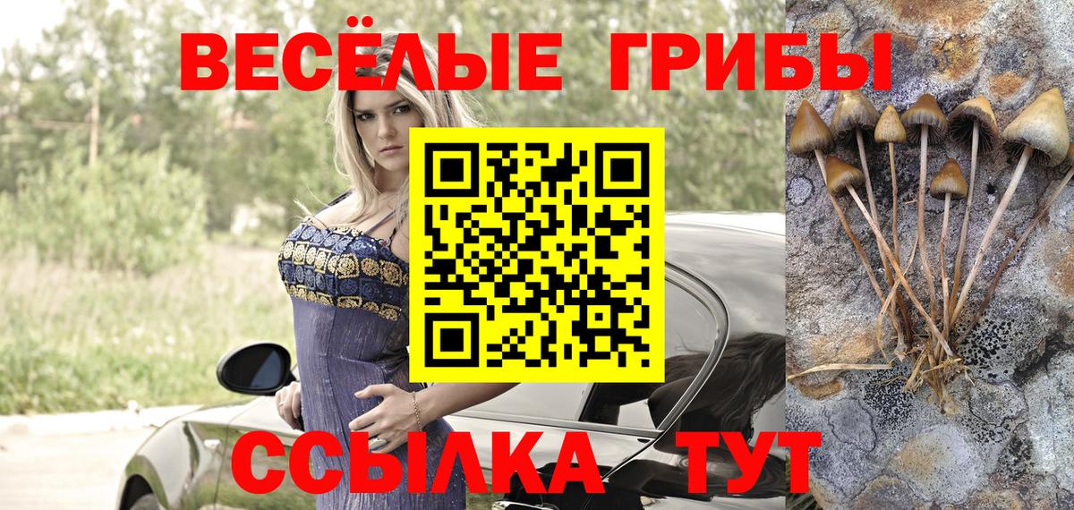 Галлюциногенные грибы GOLDEN TEACHER  Вход с VPN  Магнитогорск 
